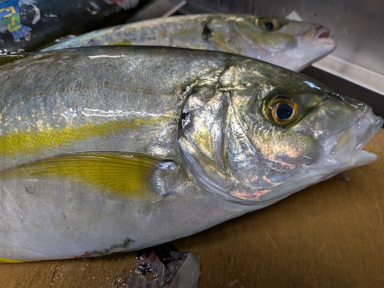 画像の説明 画像の説明