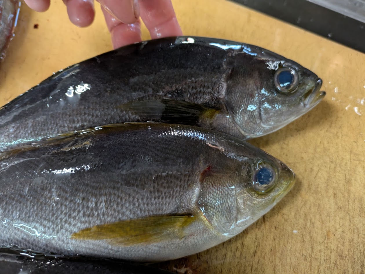 画像の説明 画像の説明