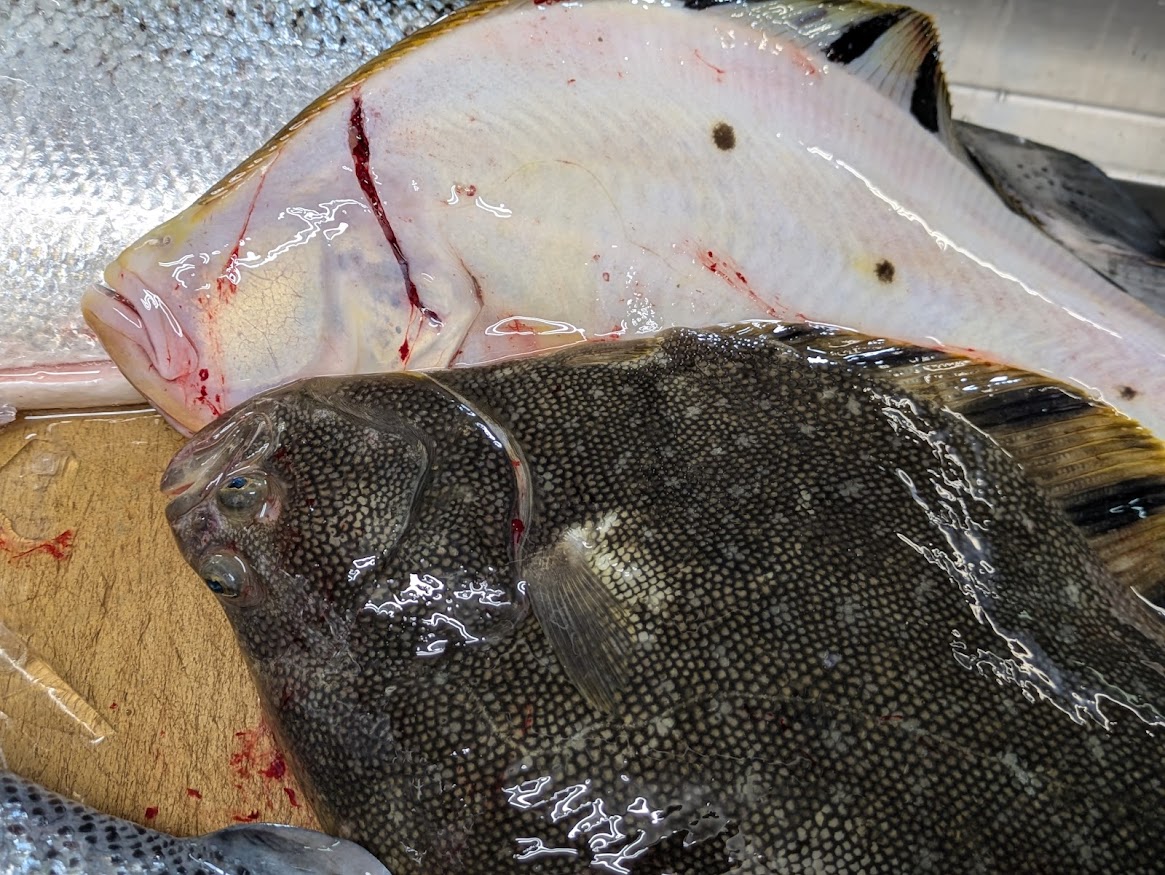 画像の説明 画像の説明