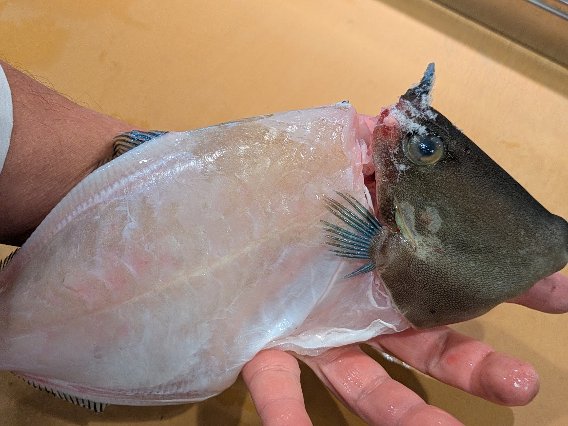 画像の説明 画像の説明