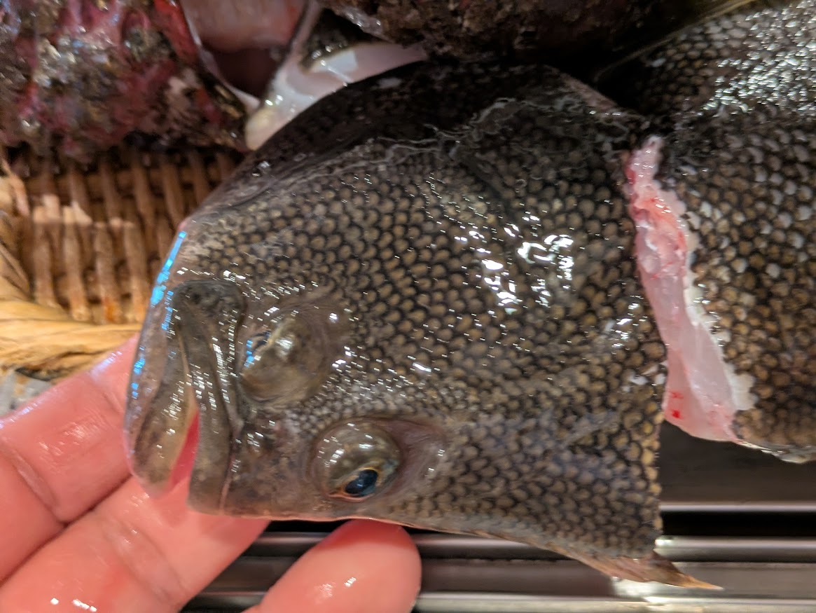 画像の説明 画像の説明