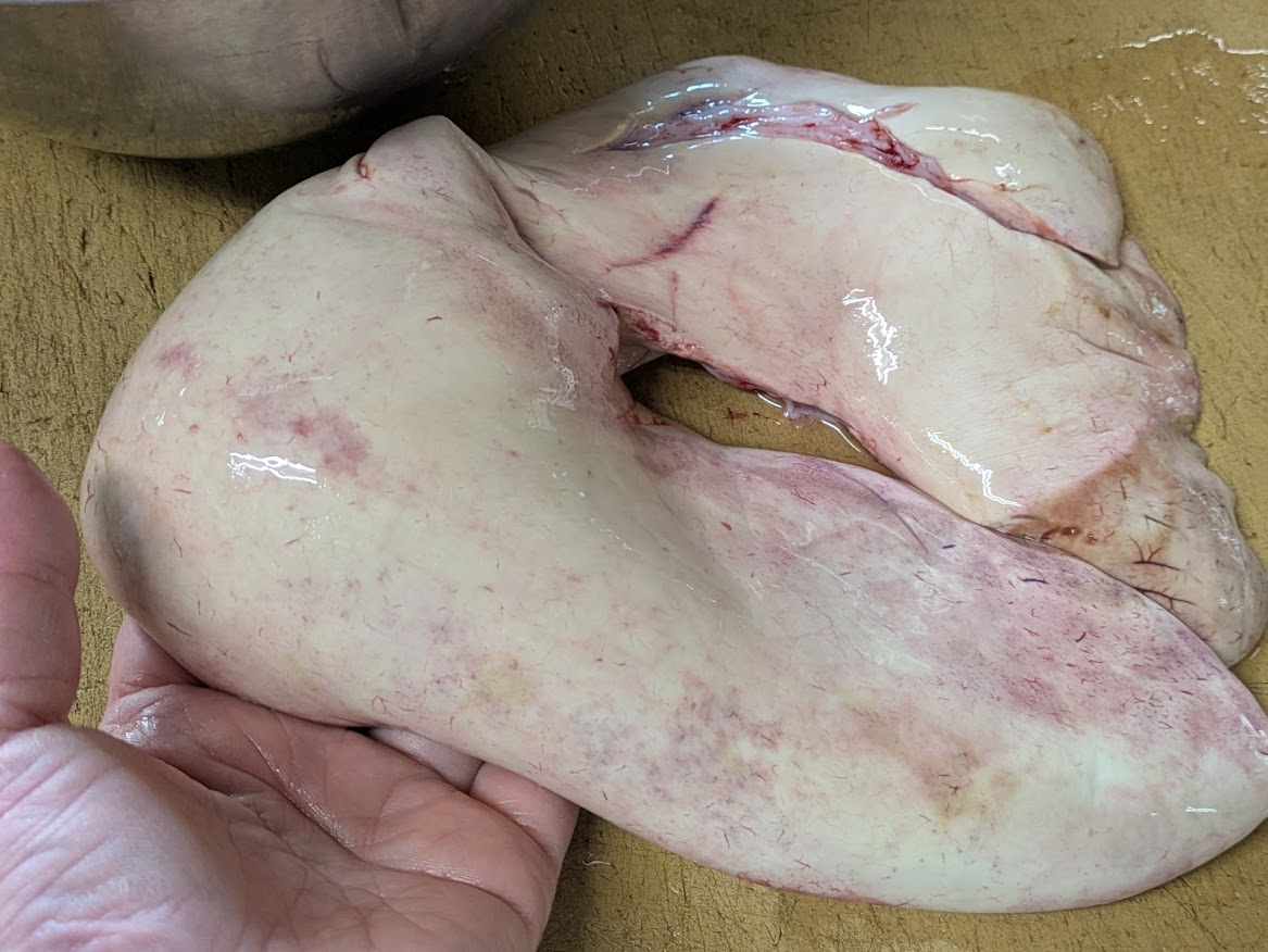 画像の説明 画像の説明